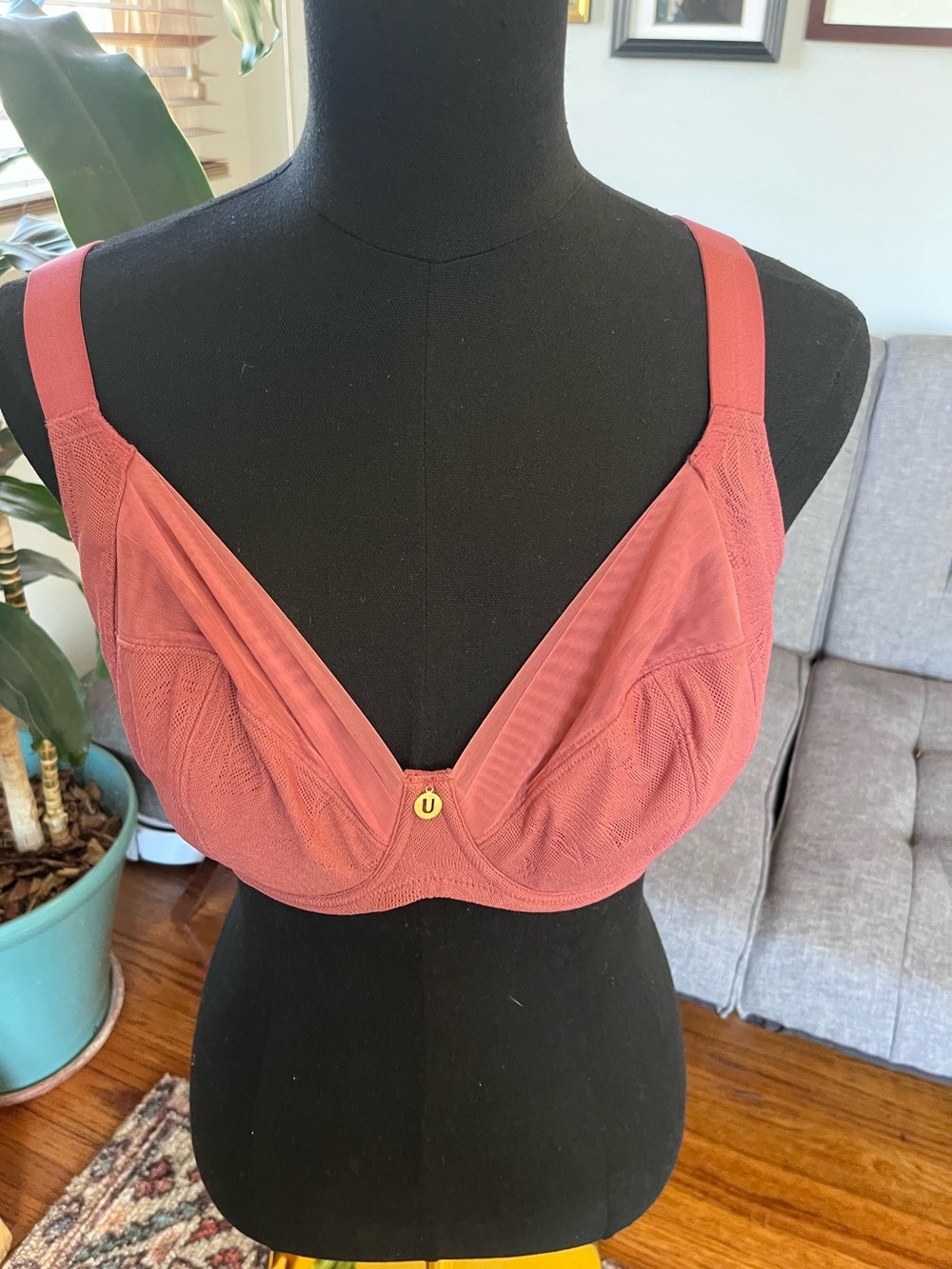 NWT Undestance Tilda Smooth Lace Flexwire Unpadded bra size 30H